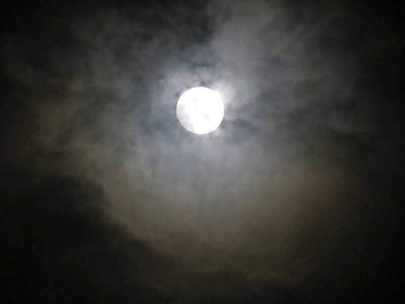 Picture of a Full Moon